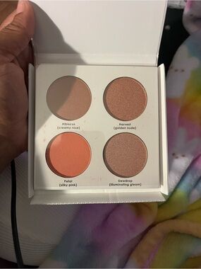 Neutral & Pink Face Palette — Hibiscus, Harvest, Petal, Dewdrop